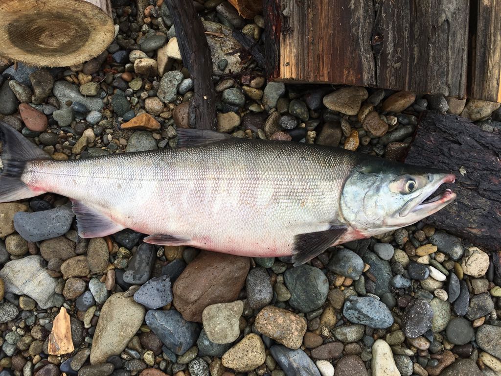 img 20170727 wa0017