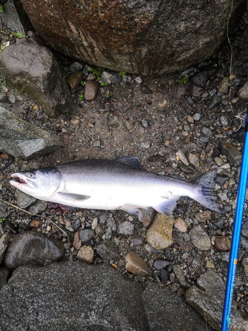 photo1682547910