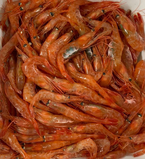 Завершены работы по мониторингу промысла креветки северной в зимний период 2026 года