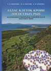 Е.Е. ИЗЕРГИНА,  И.Л. ИЗЕРГИН,  Л.И. ИЗЕРГИН &quot;Атлас клеток крови лососевых рыб  материкового побережья северной части  Охотского моря&quot;