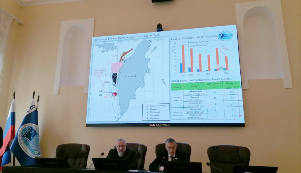 Состоялись заседания рабочих групп по оценке ОДУ приоритетных объектов российского рыболовства на 2025 год