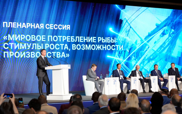 Мировое потребление рыбы: итоги пленарной сессии