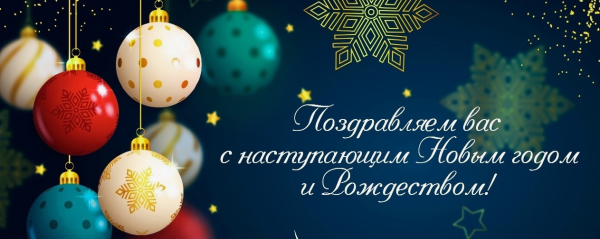 С наступающим Новым 2025 годом!
