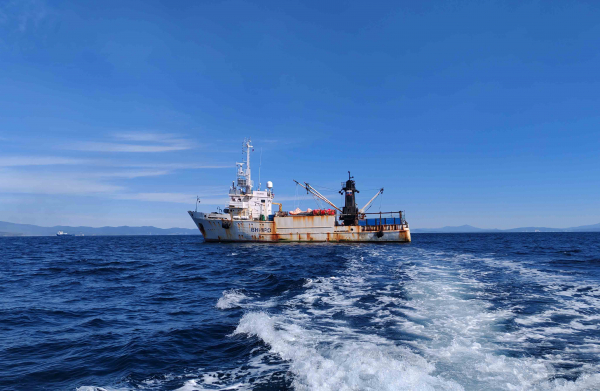 Учёные ВНИРО выполнили экспедиционные работы на НИС «Зодиак» в Охотском море